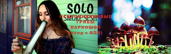ПСИЛОЦИБИНОВЫЕ ГРИБЫ Арсеньев