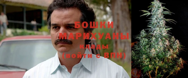 ПСИЛОЦИБИНОВЫЕ ГРИБЫ Арсеньев