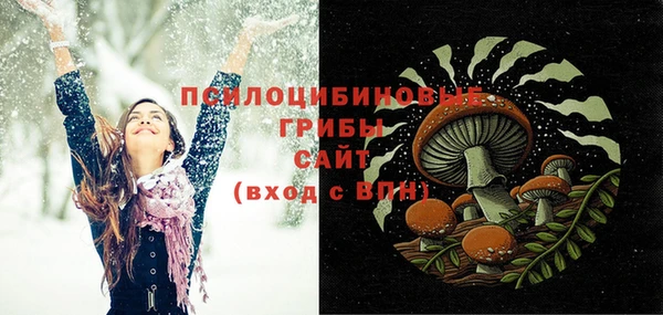ПСИЛОЦИБИНОВЫЕ ГРИБЫ Арсеньев