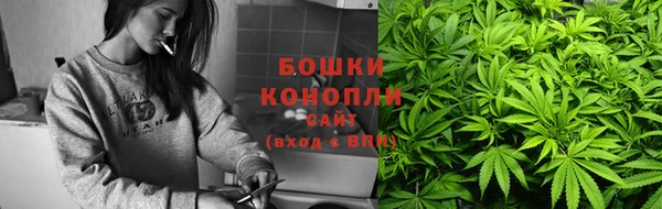 ПСИЛОЦИБИНОВЫЕ ГРИБЫ Арсеньев